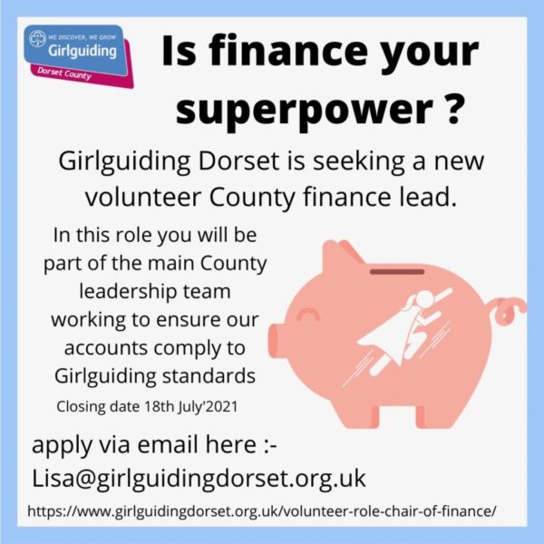 County Chair of Finance – Vacancy